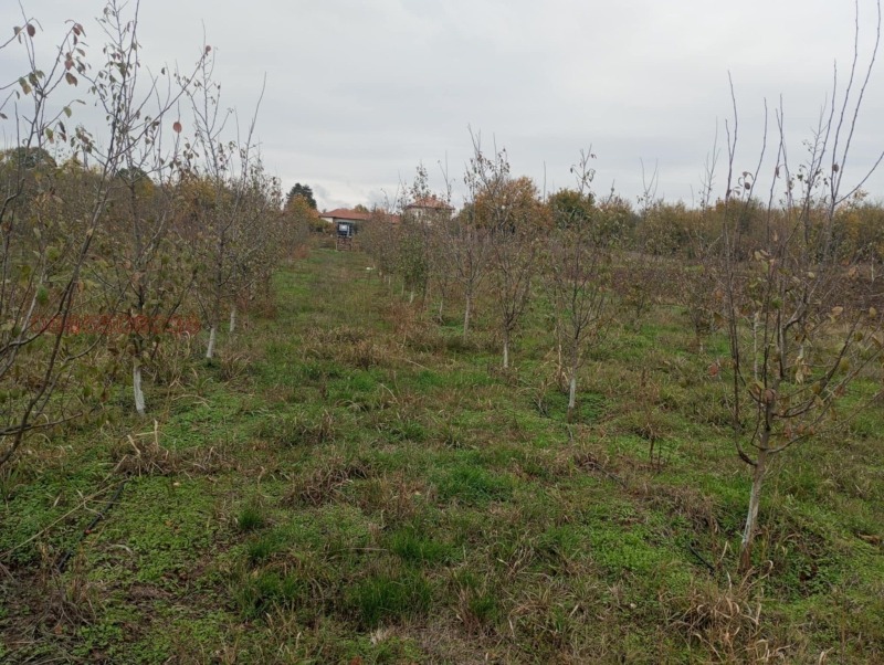 Продава ЗЕМЕДЕЛСКА ЗЕМЯ, гр. Долна Оряховица, област Велико Търново