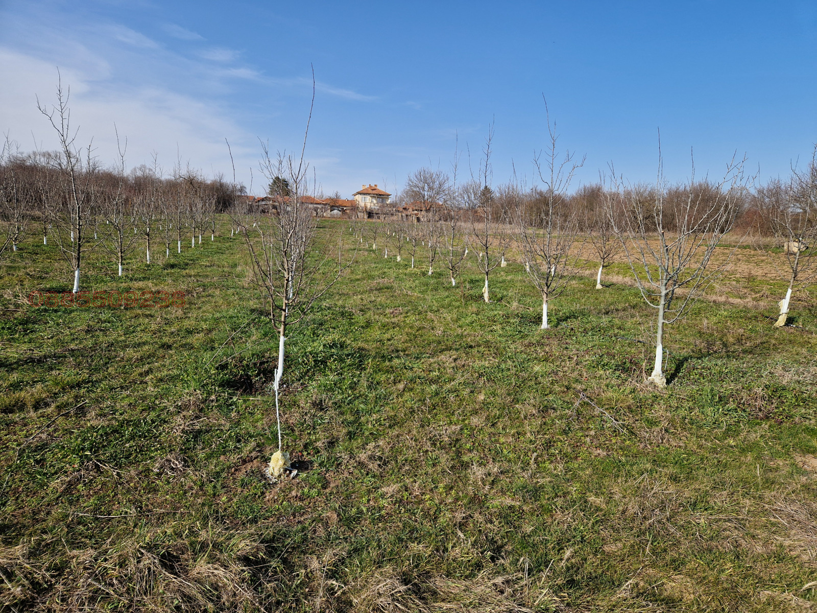 Продава ЗЕМЕДЕЛСКА ЗЕМЯ, гр. Долна Оряховица, област Велико Търново, снимка 3 - Земеделска земя - 53721963