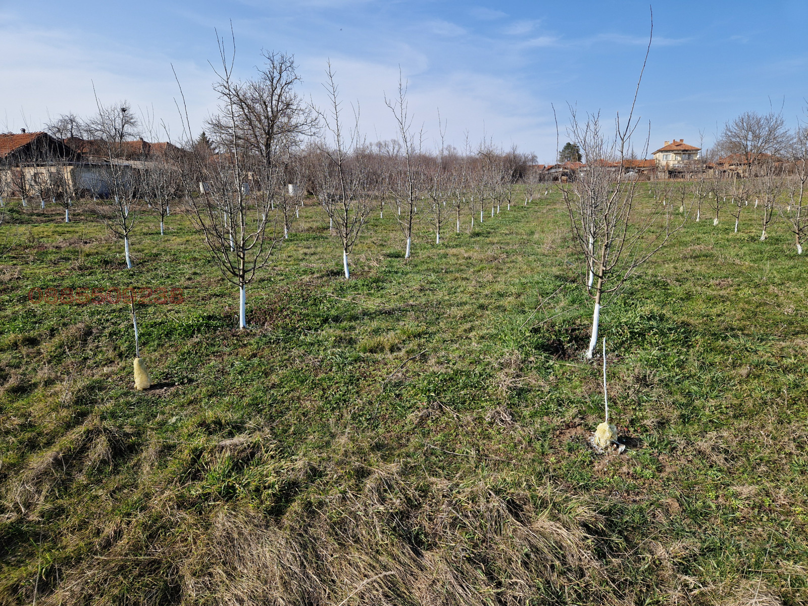 Продава ЗЕМЕДЕЛСКА ЗЕМЯ, гр. Долна Оряховица, област Велико Търново, снимка 2 - Земеделска земя - 53721963