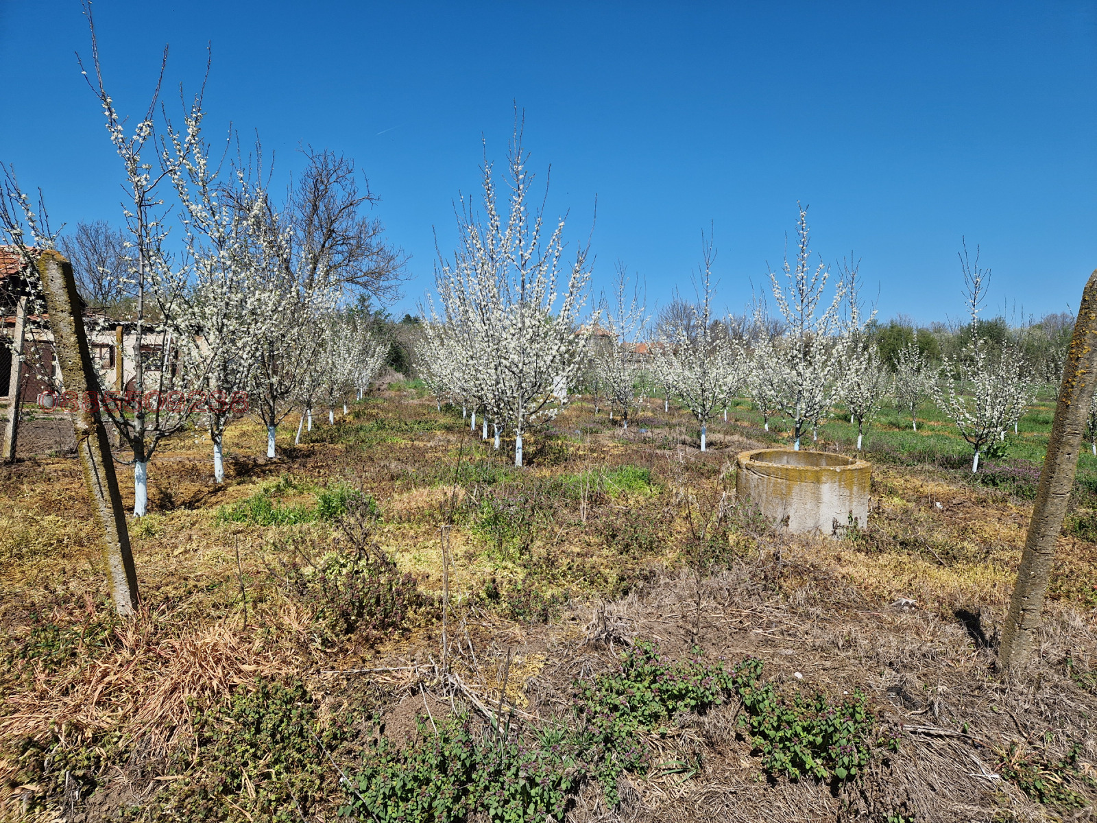 Продава ЗЕМЕДЕЛСКА ЗЕМЯ, гр. Долна Оряховица, област Велико Търново, снимка 8 - Земеделска земя - 54179333