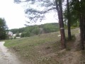 Продава ПАРЦЕЛ, гр. Велинград, област Пазарджик, снимка 3