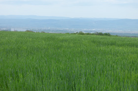 Плот Горна банја, Софија