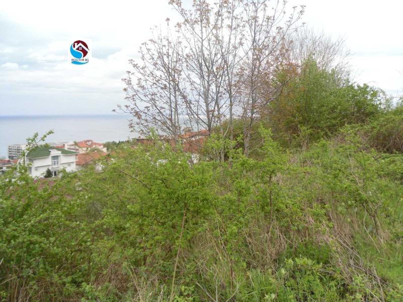 For Sale  Plot region Varna , Byala , 1427 sq.m | 34864338 - image [7]