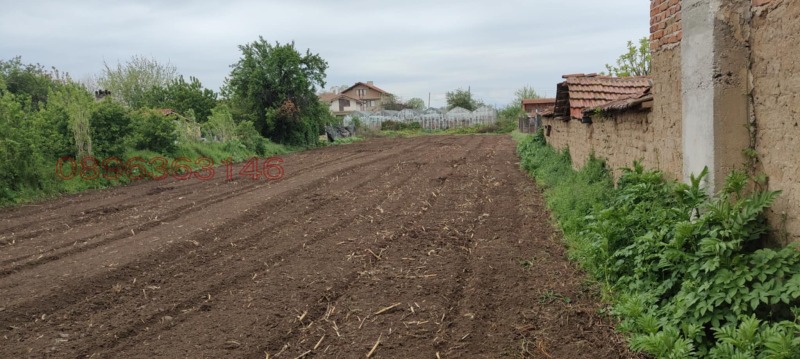 Продава ПАРЦЕЛ, с. Мало Конаре, област Пазарджик, снимка 3 - Парцели - 52781740