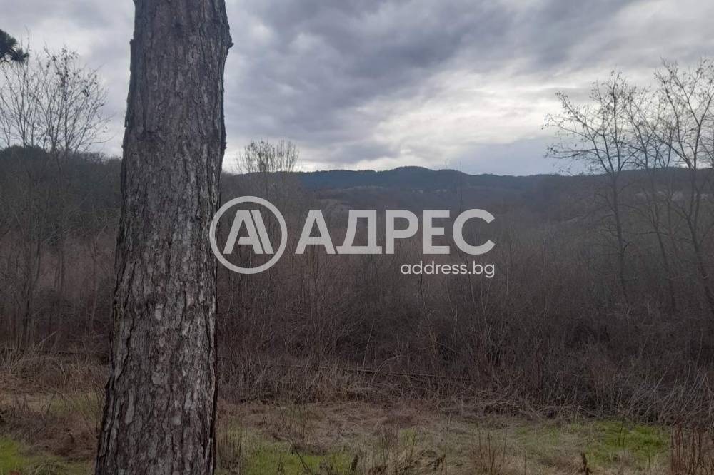 Продава КЪЩА, с. Цацаровци, област София област, снимка 5 - Къщи - 55459984