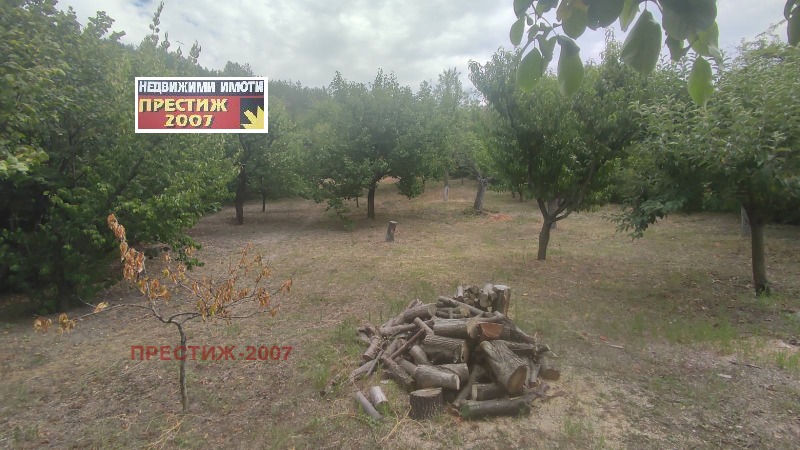 Продава ПАРЦЕЛ в град Шумен, м-т Чашка - 1000 кв.м / 26 587.18 € » 52 000 лв., ПРЕСТИЖ-2007