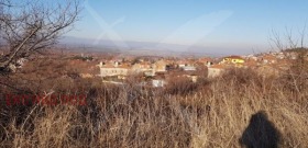 Plot Brestovitsa, region Plovdiv 1