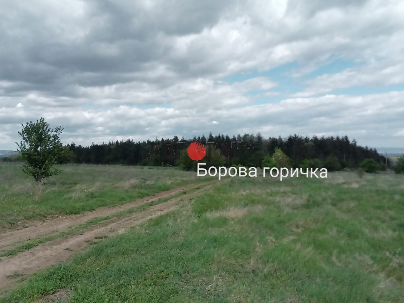 For Sale  House region Burgas , Terziysko , 64 sq.m | 23088930 - image [6]