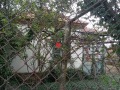 Продава КЪЩА, с. Терзийско, област Бургас, снимка 2