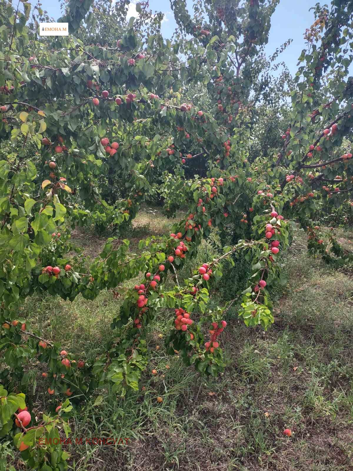 ������� ������ | Imot.bg � ����������� 4