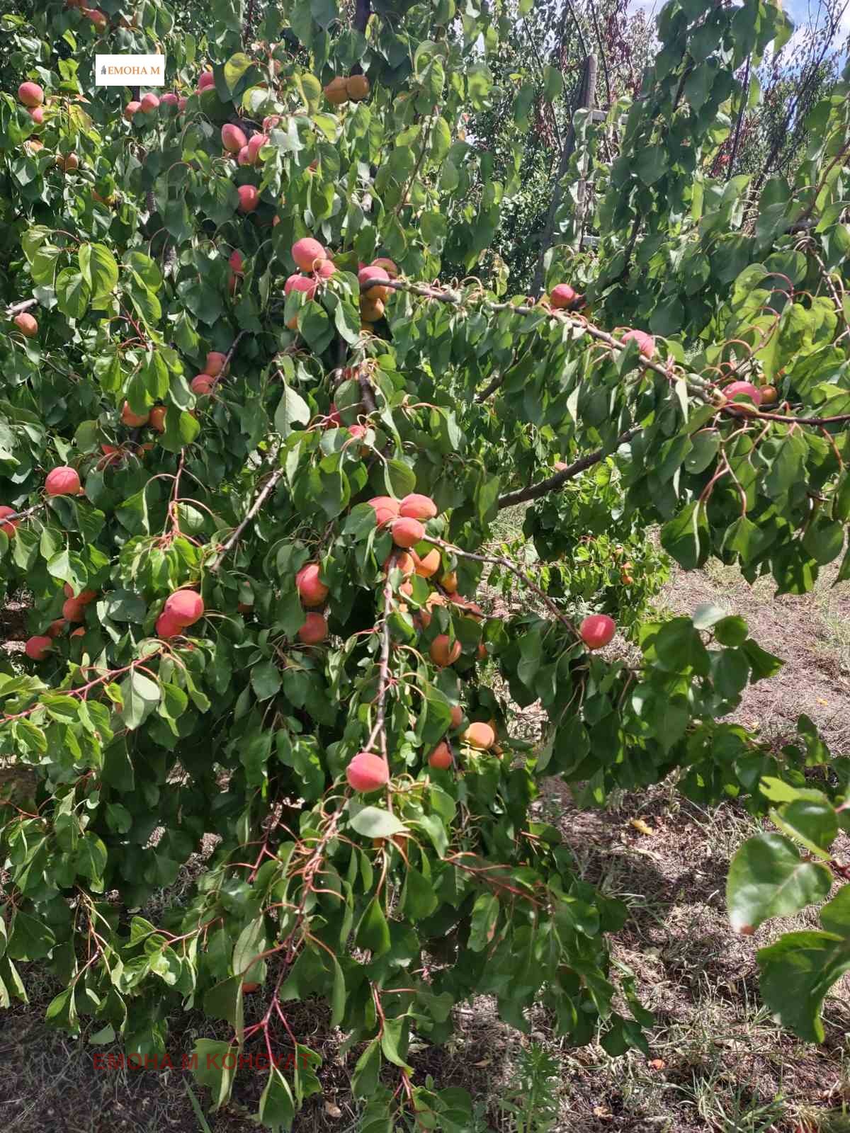 ������� ������ | Imot.bg � ����������� 5