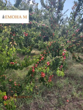 ������� ������ | Imot.bg � ����� ������ 4