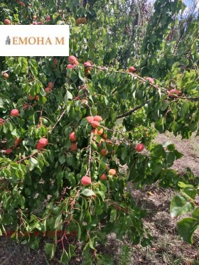 ������� ������ | Imot.bg � ����� ������ 5