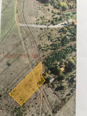 ����� ������� ������,���� �����, �. ��������