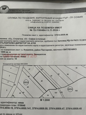 ����� ������� ������,���� �����, �. ��������