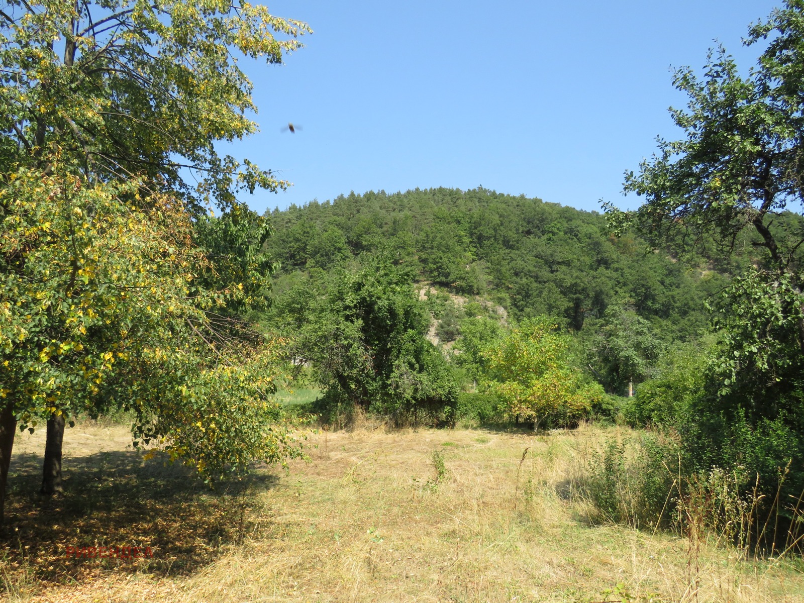 Продава КЪЩА | Imot.bg — изображение 11