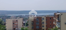 ����� ������� ����,���� �����, �-� �������