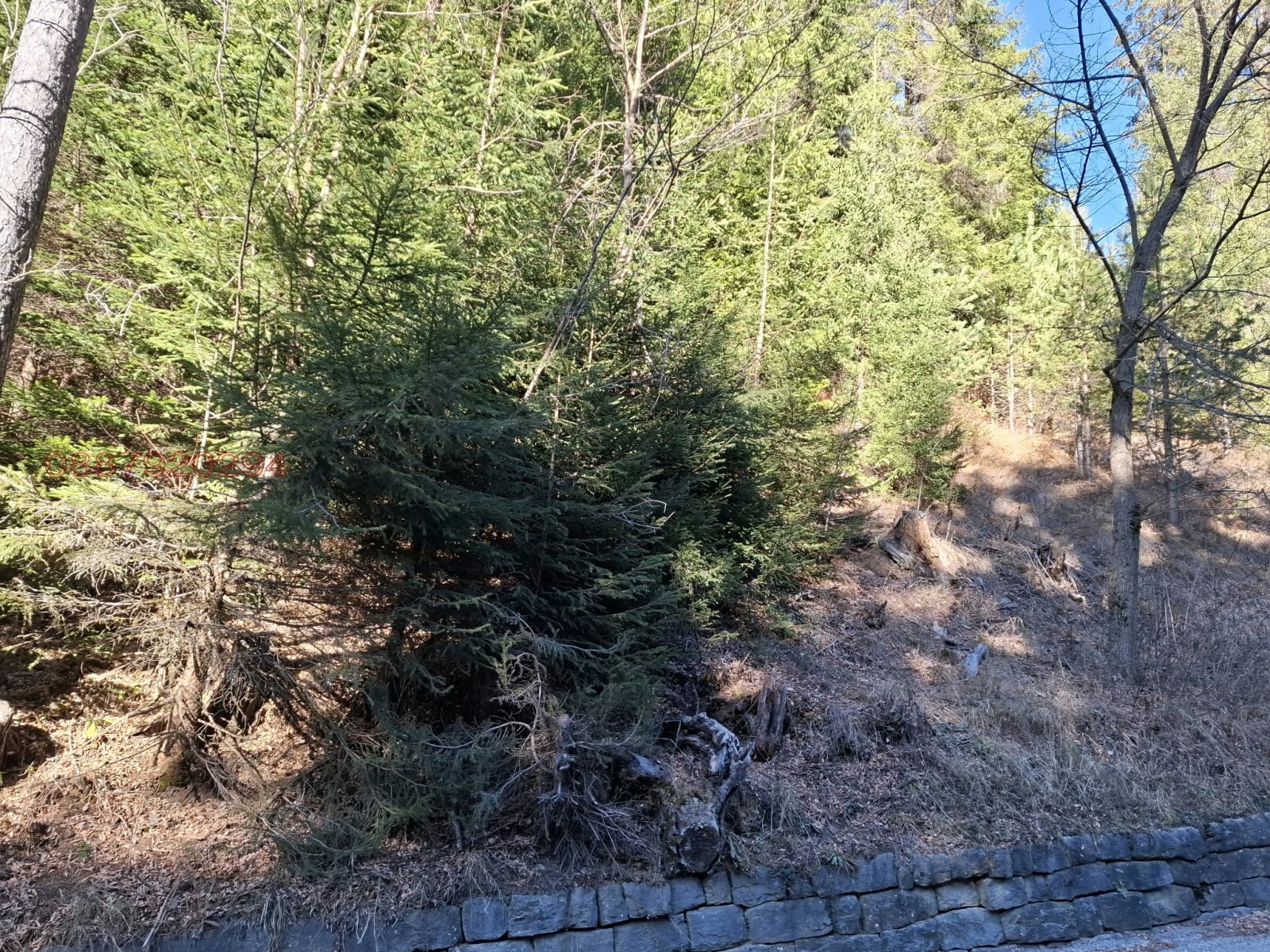 Продава ПАРЦЕЛ, с. Проглед, област Смолян, снимка 2 - Парцели - 56202229