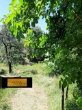 Продава КЪЩА, област София, с. Ямна • 17000 € • 45944193 — Holmes.bg