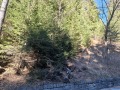 Продава  Парцел област Смолян , с. Проглед , 1050 кв.м | 84477061 - изображение [2]