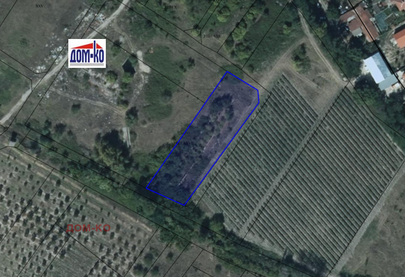 À venda  Trama região Pazardzhik , Vinogradec , 16820 m² | 36890875 - imagem [7]