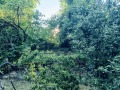 Продава КЪЩА, област Велико Търново, с. Големани • 45000 лв. / 23008.13 € • 84100407 8