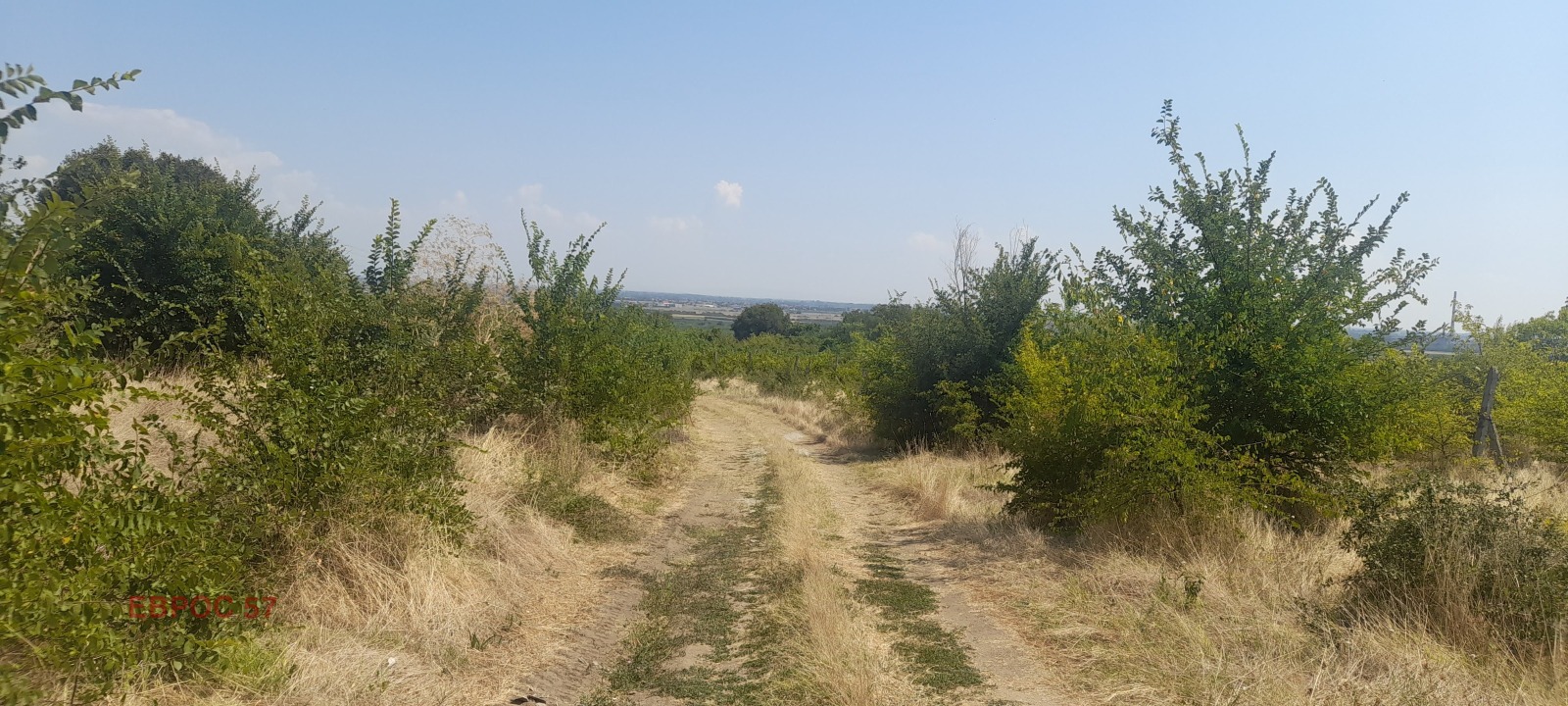 ������� ������ | Imot.bg � ����������� 8