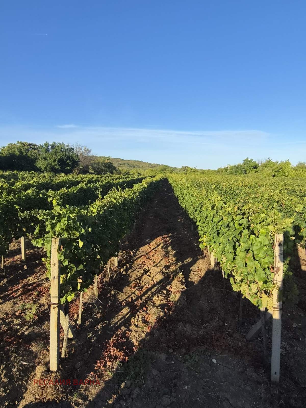 ������� ���������� ���� | Imot.bg � ����������� 4