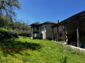 ����� ������� ����,�. �������, ������ �������