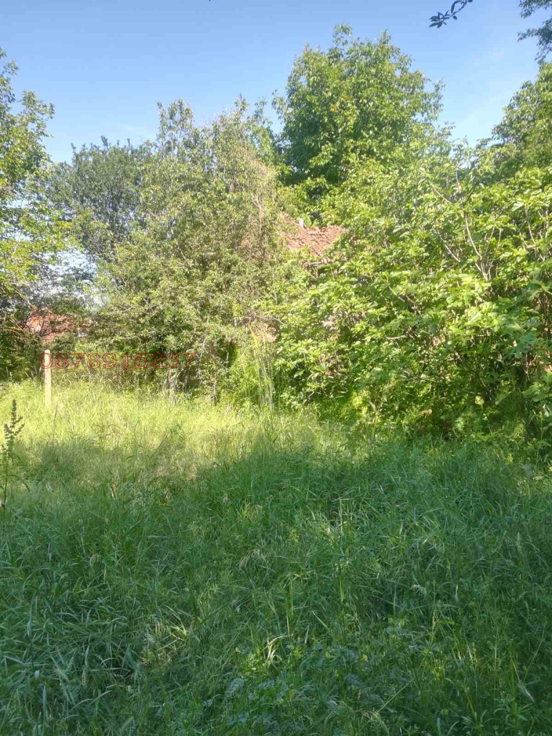 Продава КЪЩА, с. Княжева махала, област Монтана, снимка 9 - Къщи - 52782248