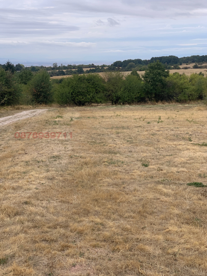 Til salgs  Plott region Sofia , Vakarel , 480 kvm | 15731853 - bilde [3]