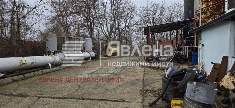 Продава ПАРЦЕЛ, с. Новоселци, област Видин, снимка 4 - Парцели - 53502846