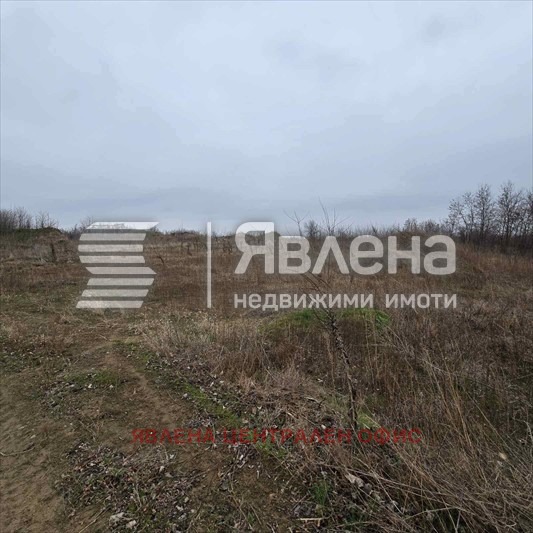 Продава ПАРЦЕЛ, с. Новоселци, област Видин, снимка 2 - Парцели - 53502846