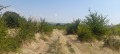 Продава ПАРЦЕЛ, с. Брестник, област Пловдив, снимка 8