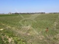 Продава  Парцел област Пловдив , с. Марково , 645 кв.м | 72453260