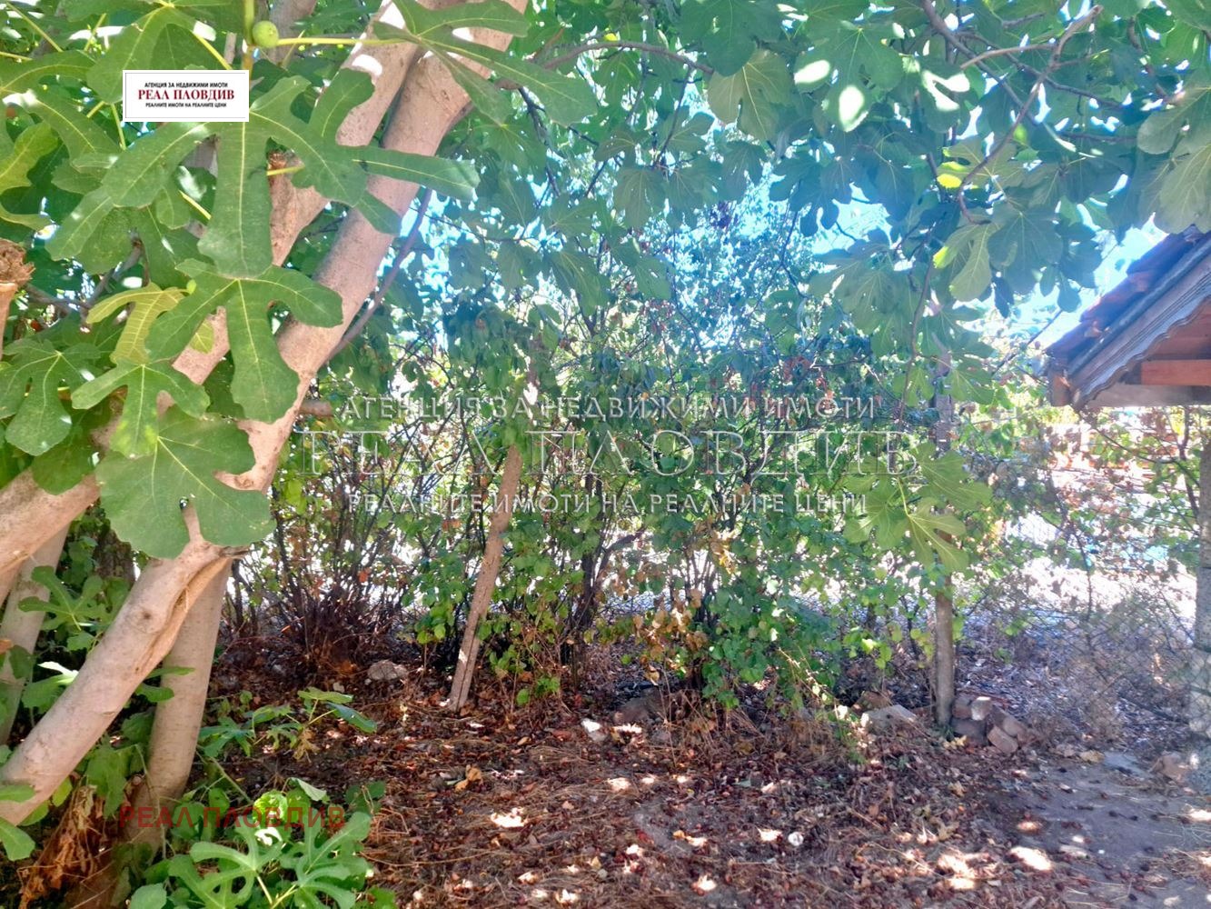 Продава ПАРЦЕЛ, с. Чешнегирово, област Пловдив, снимка 3 - Парцели - 54269235