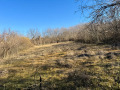 Продава ПАРЦЕЛ, град Русе, в.з. Русофили • 29000 € • 95620167 — Holmes.bg