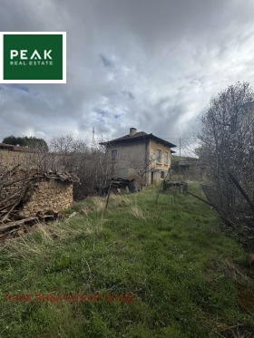 ������ ������� ����