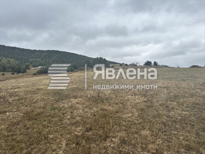 Продава ПАРЦЕЛ, м-т Цигов чарк, област Пазарджик, снимка 3 - Парцели - 55548377