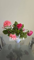 Продава 2-СТАЕН, к.к. Слънчев бряг, област Бургас, снимка 5