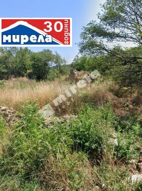 Сюжет Ново село, область Велико Тырново