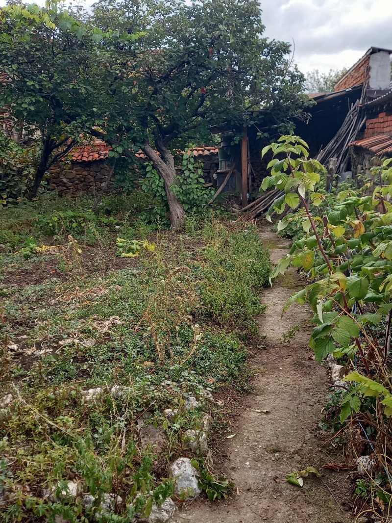 Продава КЪЩА, с. Мирково, област София област, снимка 13 - Къщи - 52260921