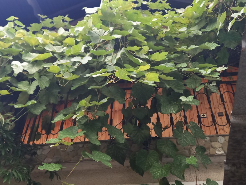 Продава КЪЩА, с. Мирково, област София област, снимка 16 - Къщи - 52260921