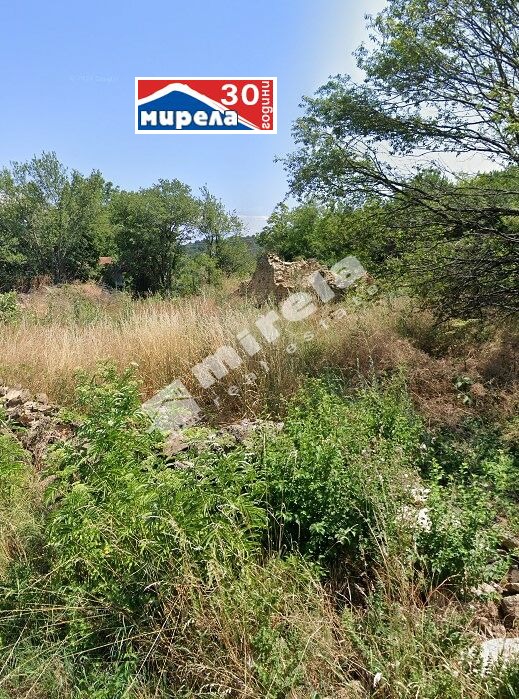 Продается  Сюжет область Велико Тырново , Ново село , 1900 кв.м | 46513063