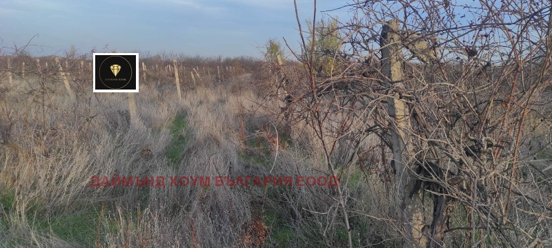 Продава ПАРЦЕЛ, с. Марково, област Пловдив, снимка 2 - Парцели - 52547984