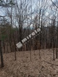 Продава КЪЩА, област Велико Търново, с. Вонеща вода • 29000 € • 64149370 — Holmes.bg