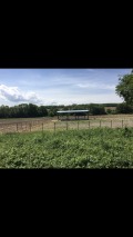 Продава  Парцел град Плевен , Широк център , 3000 кв.м | 16800024