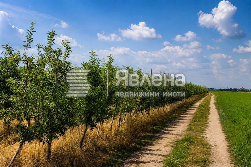 ������� ������ | Imot.bg � ����������� 2