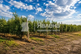 ������� ������ | Imot.bg � ����� ������ 3