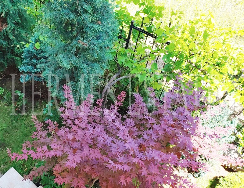 Продава  3-стаен град София , Овча купел 2 , 75 кв.м | 73929363 - изображение [16]